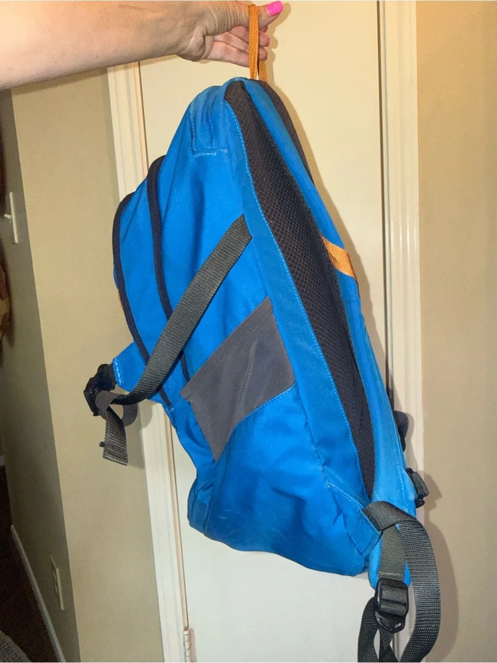 Patagonia Backpack